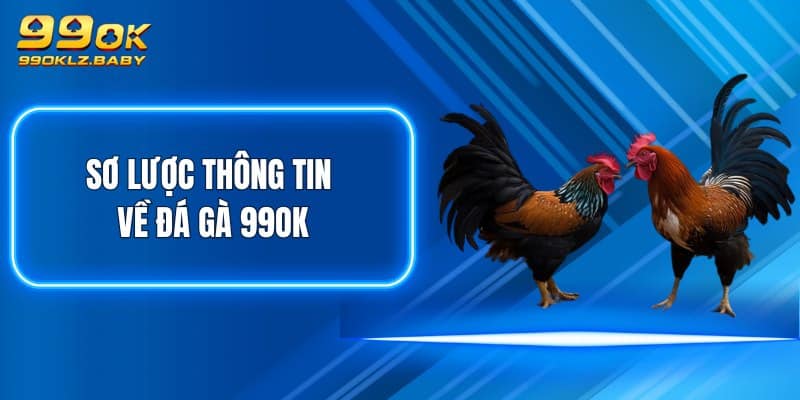 Sơ lược thông tin về Đá Gà 99OK